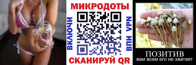 Псилоцибиновые грибы Psilocybine cubensis  Купить  Пересвет 